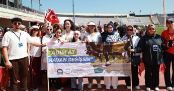 Gebzeli hanımlar 