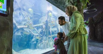 Büyükakın  Körfez Aqua Kıtalar Akvaryumunu gezdi 