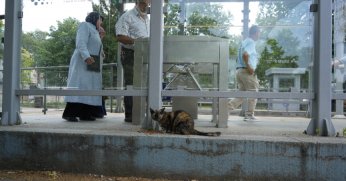 Tramvay Durağının Neşe Kaynağı Oldu 