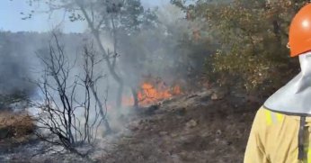 Karamürsel'de korkutan yangın 