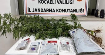  Kocaeli'de 1 kilo esrar ele geçirildi