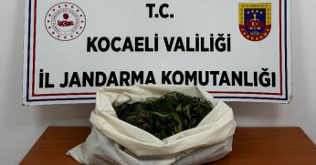 Kocaeli'de 4 ilçede uyuşturucu operasyonu