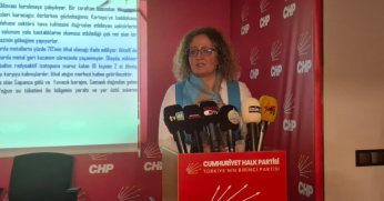 CHP’den Kocaeli’de çevre alarmı