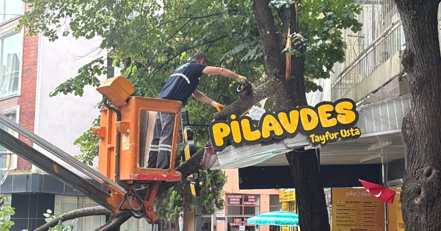 İzmit'te lokantanın üzerine devrilen ağaç hasara yol açtı