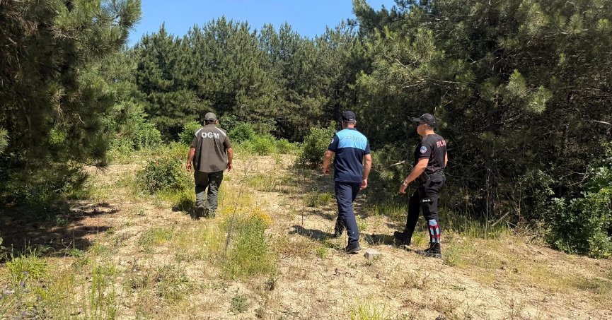 Dilovası'nda olası orman yangınlarına karşı sıkı önlemler alındı