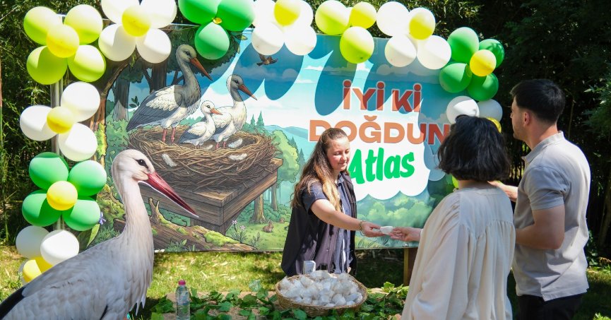 Ormanya’da yavru leylek Atlas’a sürpriz kutlama   
