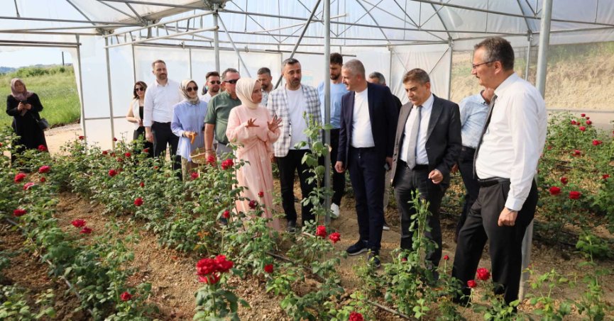 Tarladan kozmetiğe : Kadın eliyle  Kocaeli'nin ilk gül serasını kurdu