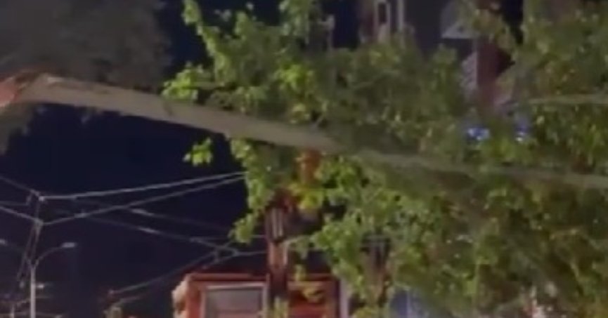 İzmit'te Bir Ağaç Tramvay Yoluna Devrildi!