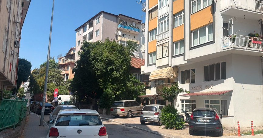 İzmit'teki O Mahalleyi Pireler Bastı: Cam Açamıyorlar!