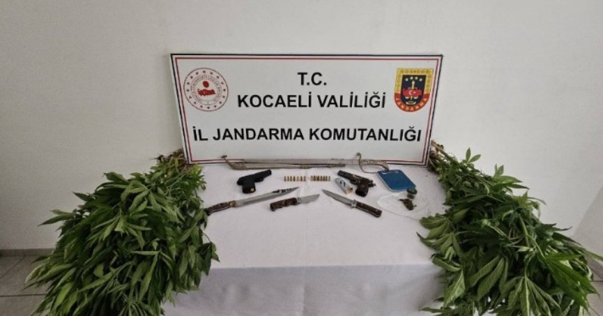 Karamürsel'de 66 Kök Kenevir Bitkisi Ele Geçirildi