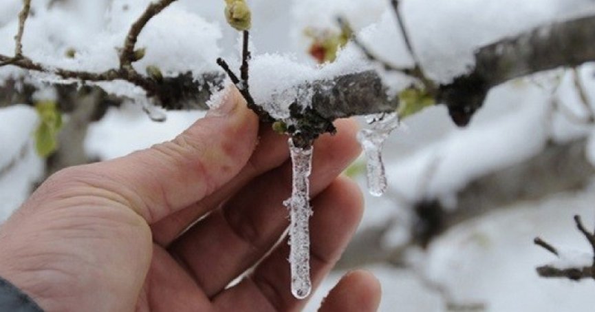 Kocaeli’de gece don alarmı: O önlemler alınmalı!