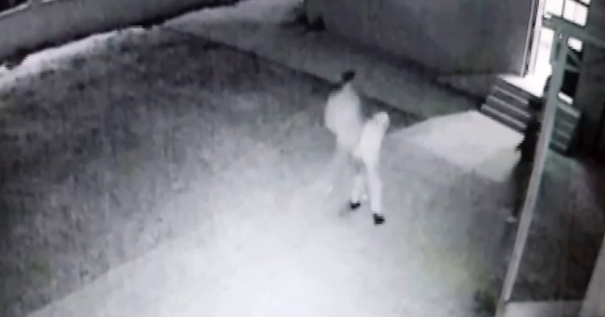 Camide Uygunsuz Davranışı Uyardı: İmam Böyle Darp Edildi