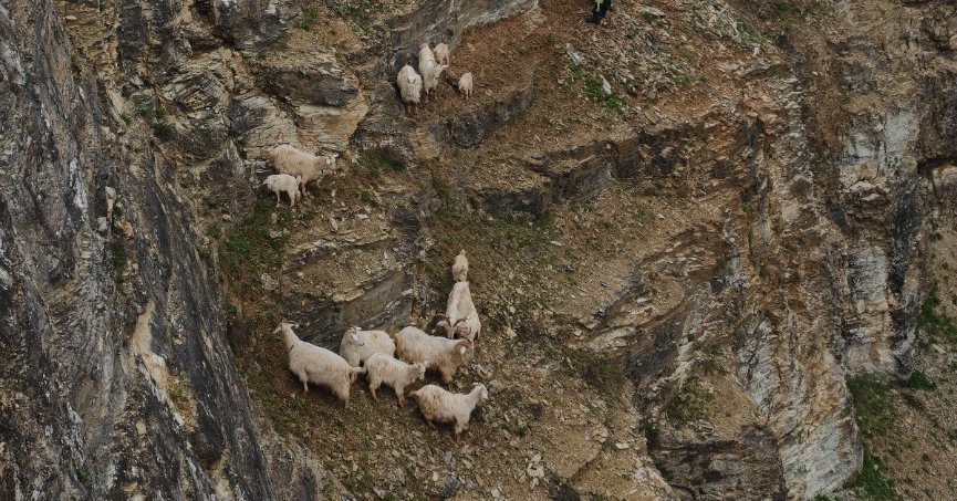 Kayalıklarda can pazarı