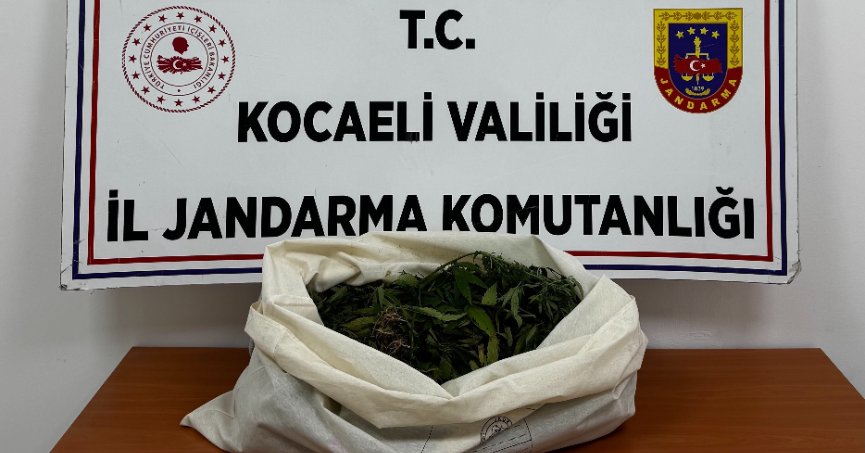 Kocaeli'de 4 ilçede uyuşturucu operasyonu