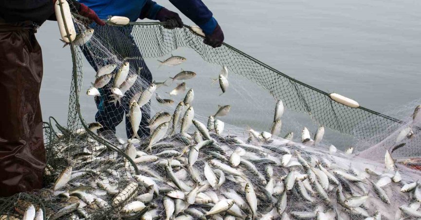 Av yasağı başladı