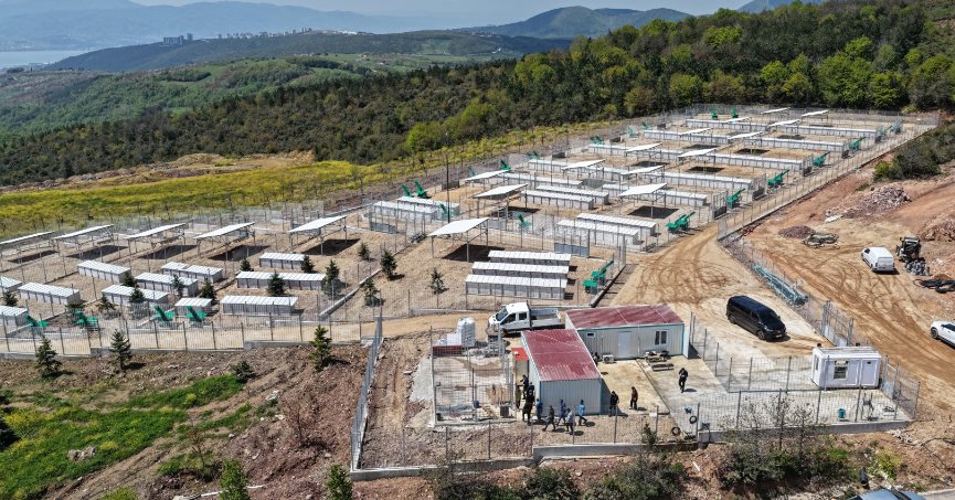 Büyükşehir'den sahipsiz köpeklere yeni yuva