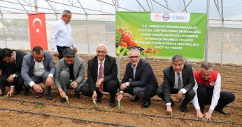 Büyükşehir'den Gebzeli çiftçiye 500 bin sebze fidesi 
