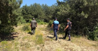 Dilovası'nda olası orman yangınlarına karşı sıkı önlemler alındı