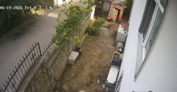 Sevimli hırsız kameraya yakalandı 