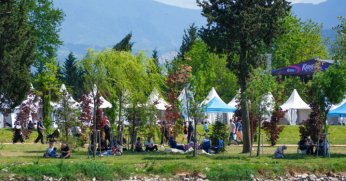 Akvaryumda yeni bir yaşam hikâyesi başlıyor