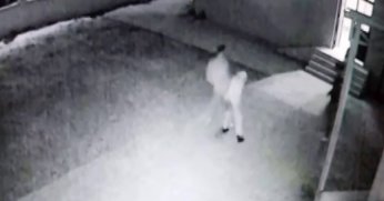 Camide Uygunsuz Davranışı Uyardı: İmam Böyle Darp Edildi