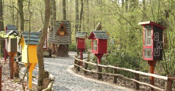 Doğanın kalbinde kitap keyfi