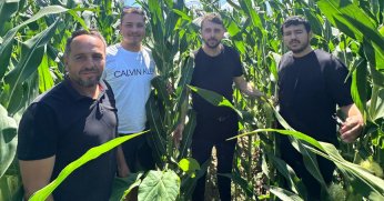 Büyükşehir'den Kocaeli tarımına yeni mısır hamlesi