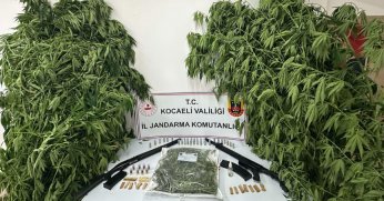 Bir haftada 151 uyuşturucu operasyonu: 161 şüpheliye işlem