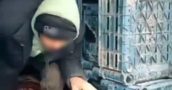 7 düzensiz göçmen yakalandı