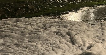 İzmit'te sahil köpüklerle kaplandı 