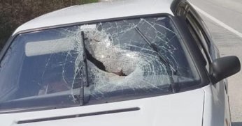 Fırlayan Kütük Otomobile Saplandı