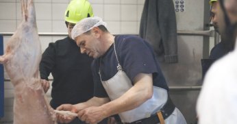 Kurban kesmenin tüm inceliklerini öğrendiler