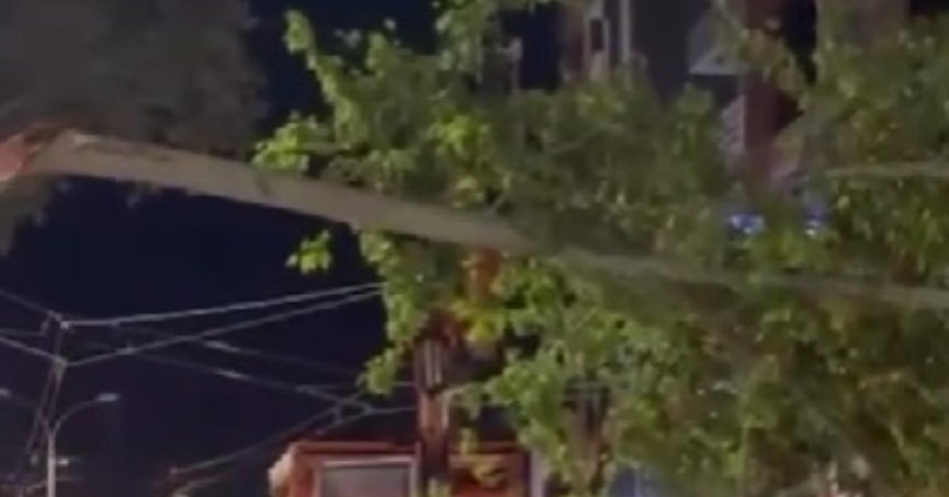 Tramvay Yoluna Devrildi!